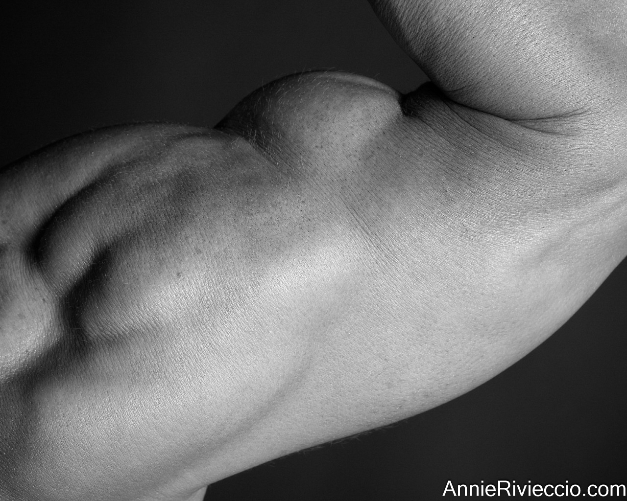 Annie Rivieccio